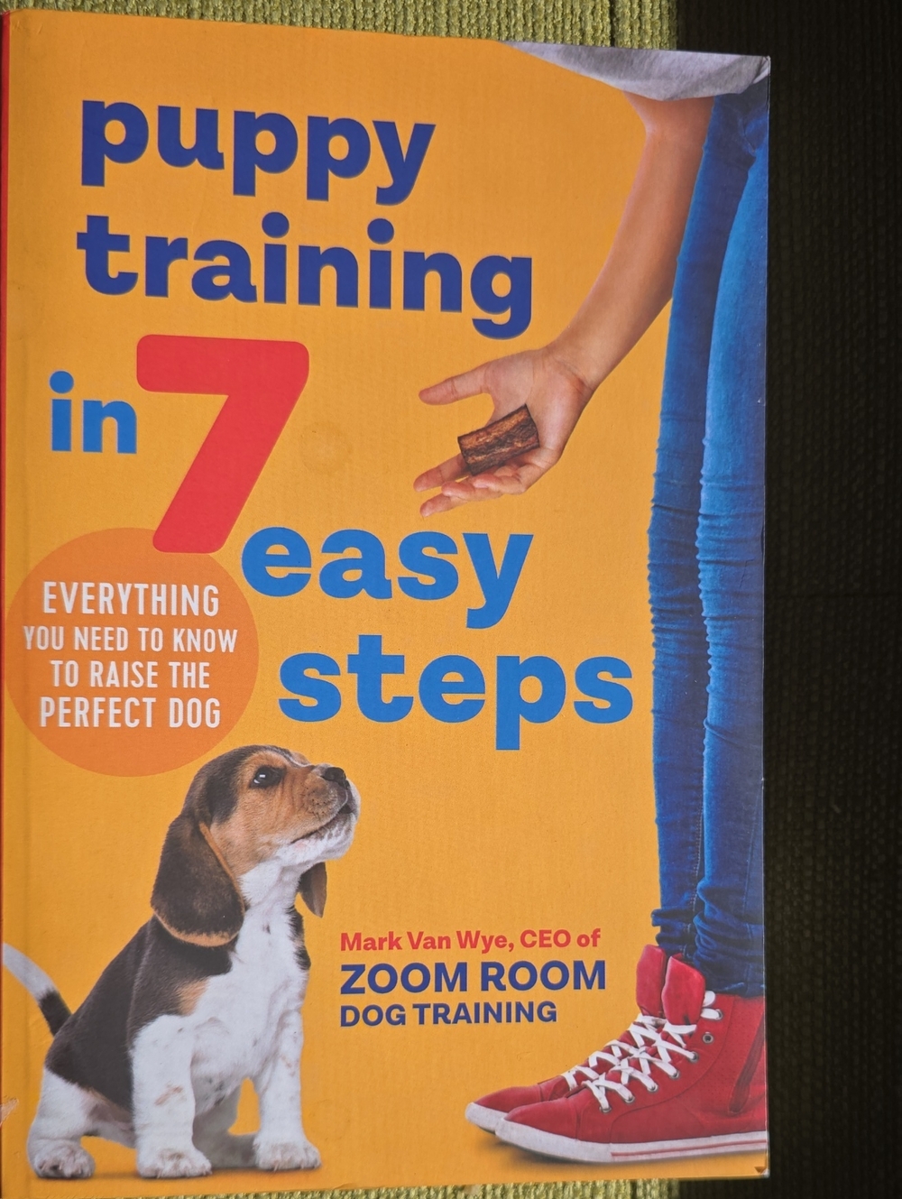 Puppy Training in 7 Easy Steps - Orange Edition